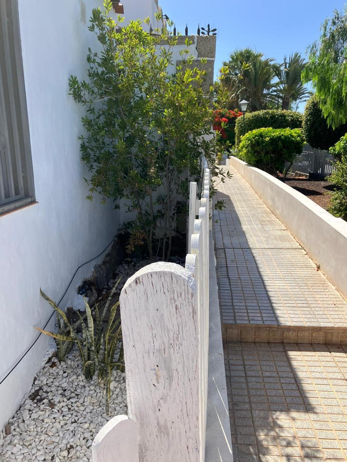Casadri Tenerife アロナ エクステリア 写真